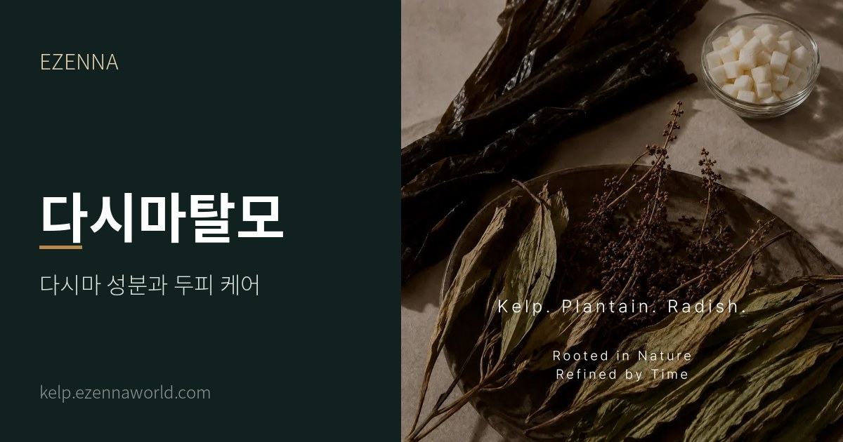 다시마탈모